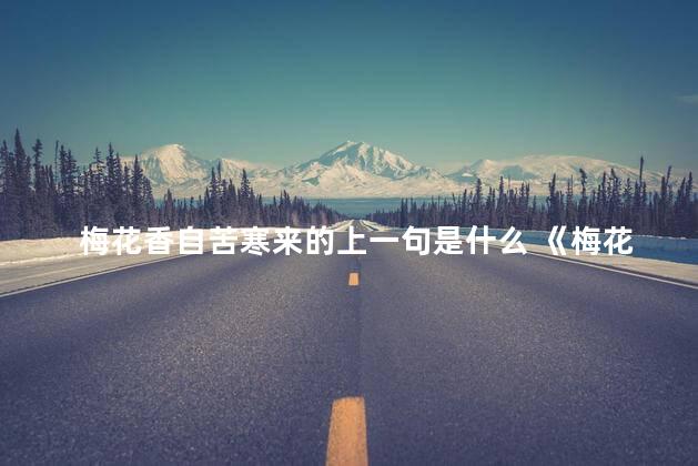 梅花香自苦寒来的上一句是什么 《梅花》宋王安石古诗